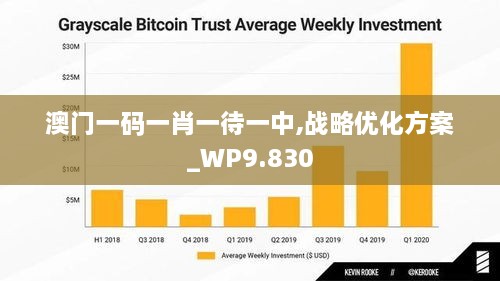 澳门一码一肖一待一中,战略优化方案_WP9.830