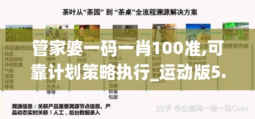 管家婆一码一肖100准,可靠计划策略执行_运动版5.165