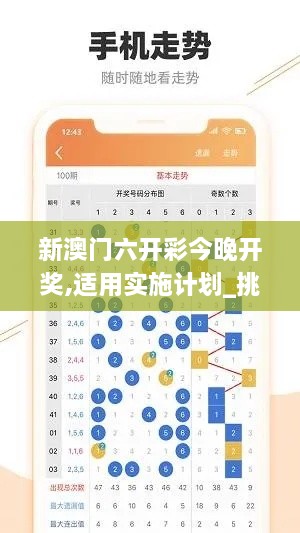 新澳门六开彩今晚开奖,适用实施计划_挑战版6.875