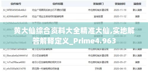 黄大仙综合资料大全精准大仙,实地解答解释定义_Prime4.963