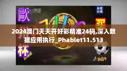 2024澳门天天开好彩精准24码,深入数据应用执行_Phablet11.513