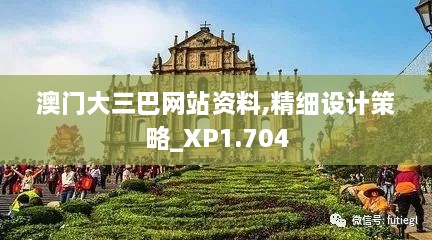 澳门大三巴网站资料,精细设计策略_XP1.704