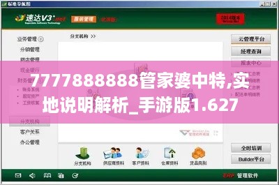 7777888888管家婆中特,实地说明解析_手游版1.627