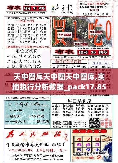 天中图库天中图天中图库,实地执行分析数据_pack17.853