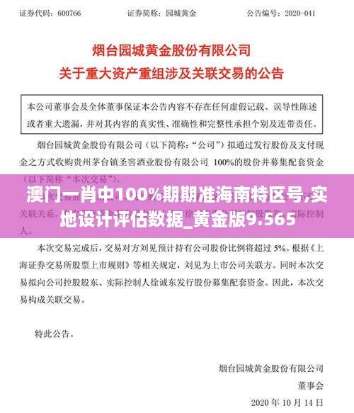 澳门一肖中100%期期准海南特区号,实地设计评估数据_黄金版9.565