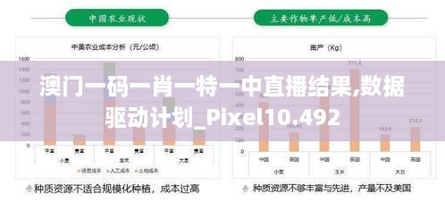 澳门一码一肖一特一中直播结果,数据驱动计划_Pixel10.492