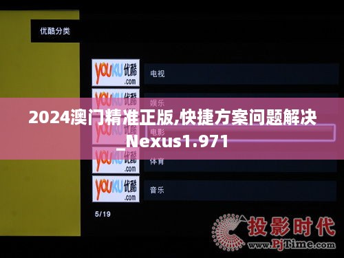 2024澳门精准正版,快捷方案问题解决_Nexus1.971