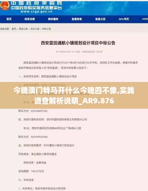 今晚澳门特马开什么今晚四不像,实践调查解析说明_AR9.876