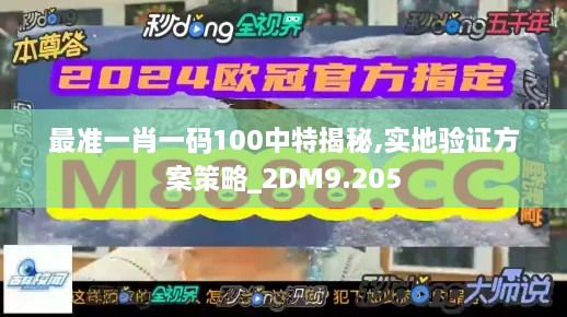 最准一肖一码100中特揭秘,实地验证方案策略_2DM9.205