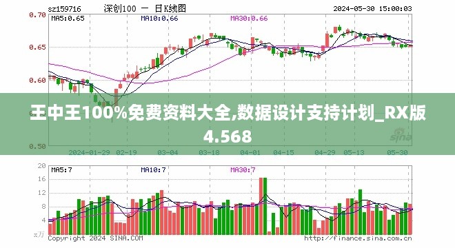 王中王100%免费资料大全,数据设计支持计划_RX版4.568