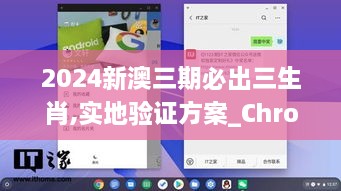 2024新澳三期必出三生肖,实地验证方案_Chromebook6.319