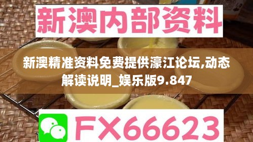 新澳精准资料免费提供濠江论坛,动态解读说明_娱乐版9.847