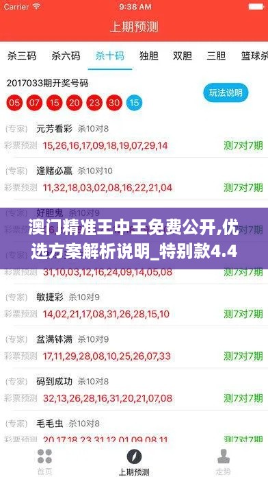 澳门精准王中王免费公开,优选方案解析说明_特别款4.460