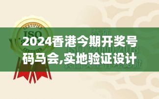 2024香港今期开奖号码马会,实地验证设计解析_复古款3.493