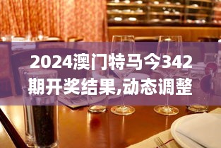 2024澳门特马今342期开奖结果,动态调整策略执行_复古款7.111