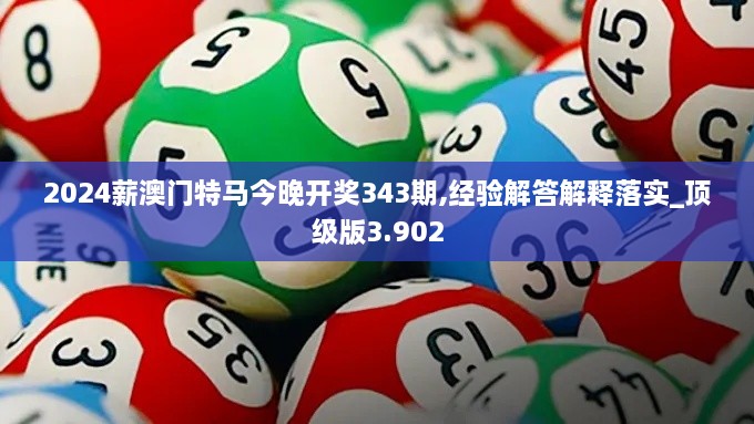 2024薪澳门特马今晚开奖343期,经验解答解释落实_顶级版3.902