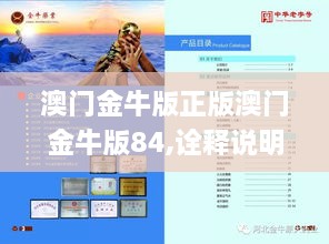 澳门金牛版正版澳门金牛版84,诠释说明解析_Phablet10.389