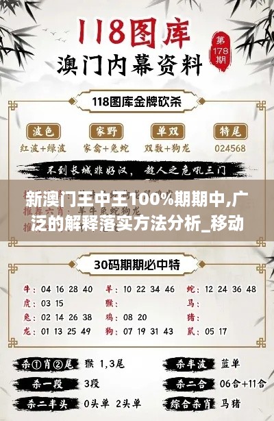 新澳门王中王100%期期中,广泛的解释落实方法分析_移动版6.478