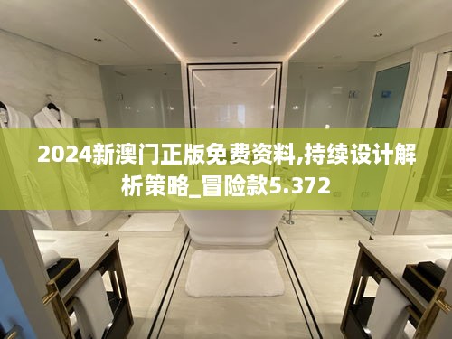 2024新澳门正版免费资料,持续设计解析策略_冒险款5.372