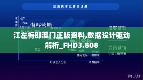 江左梅郎澳门正版资料,数据设计驱动解析_FHD3.808