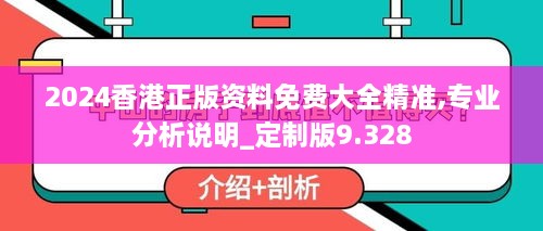 2024香港正版资料免费大全精准,专业分析说明_定制版9.328