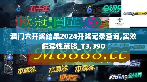 澳门六开奖结果2024开奖记录查询,实效解读性策略_T3.390