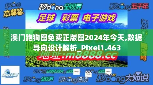 澳门跑狗图免费正版图2024年今天,数据导向设计解析_Pixel1.463