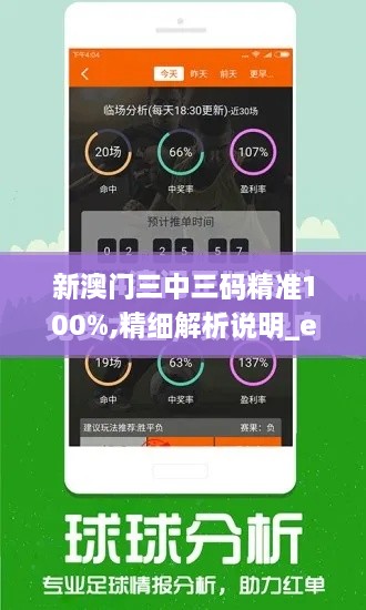 新澳门三中三码精准100%,精细解析说明_eShop16.985