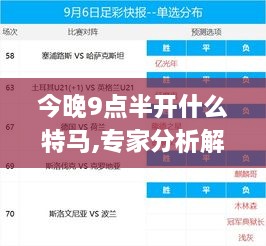 今晚9点半开什么特马,专家分析解释定义_HD10.450