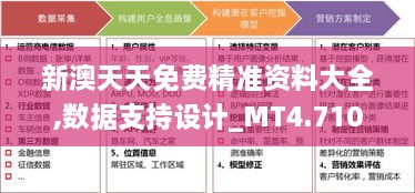 新澳天天免费精准资料大全,数据支持设计_MT4.710