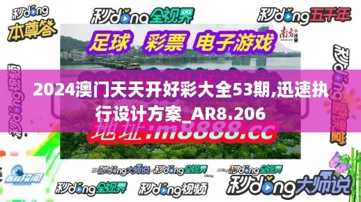 2024澳门天天开好彩大全53期,迅速执行设计方案_AR8.206