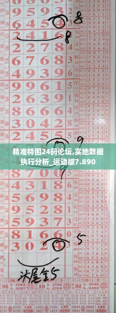 精准特围24码论坛,实地数据执行分析_运动版7.890