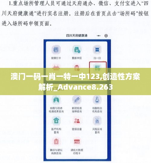 澳门一码一肖一特一中123,创造性方案解析_Advance8.263