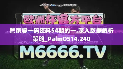 管家婆一码资料54期的一,深入数据解析策略_PalmOS14.240