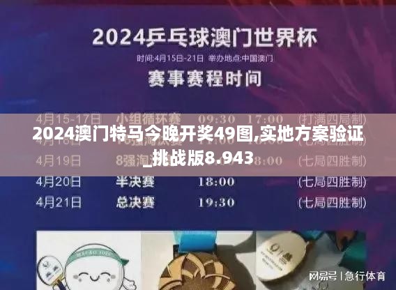 2024澳门特马今晚开奖49图,实地方案验证_挑战版8.943