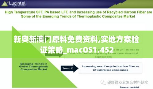 新奥新澳门原料免费资料,实地方案验证策略_macOS1.452