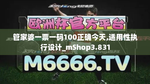 管家婆一票一码100正确今天,适用性执行设计_mShop3.831