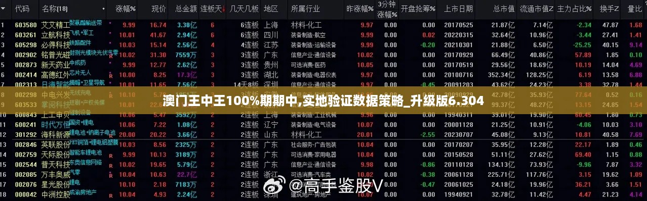 澳门王中王100%期期中,实地验证数据策略_升级版6.304