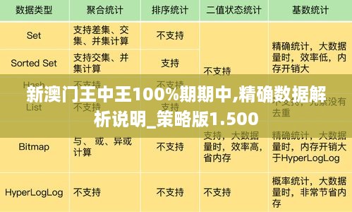 新澳门王中王100%期期中,精确数据解析说明_策略版1.500