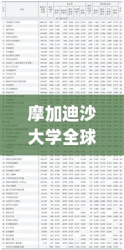 摩加迪沙大学全球排名及学术影响力解析