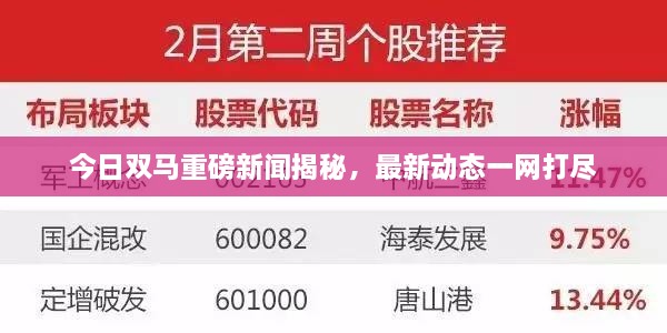 今日双马重磅新闻揭秘，最新动态一网打尽