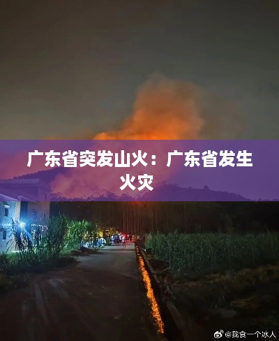 广东省突发山火：广东省发生火灾 