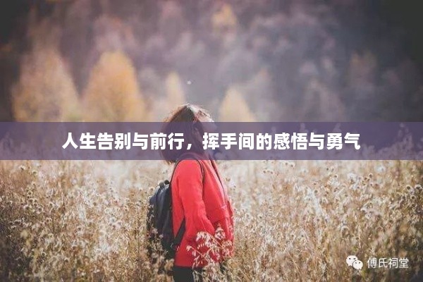 人生告别与前行，挥手间的感悟与勇气