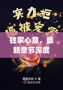 独家心意，最新章节深度探秘