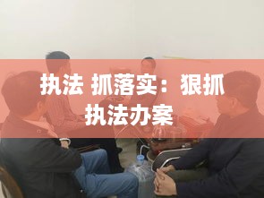 执法 抓落实：狠抓执法办案 