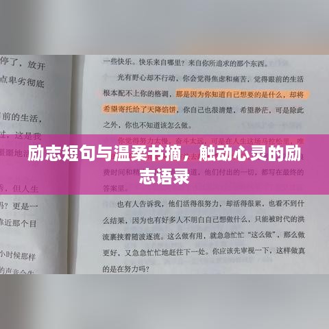 励志短句与温柔书摘，触动心灵的励志语录