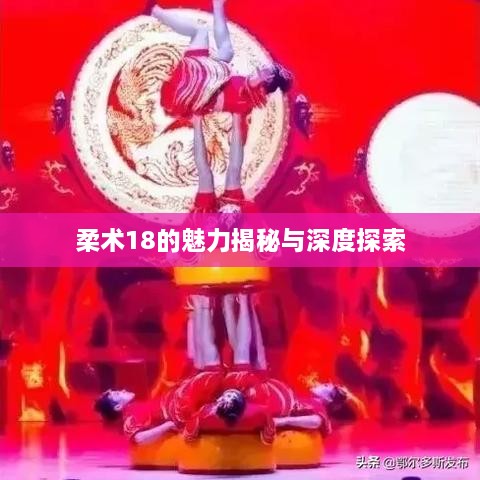 柔术18的魅力揭秘与深度探索