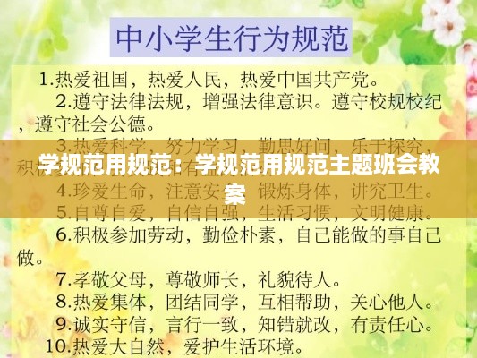 学规范用规范：学规范用规范主题班会教案 