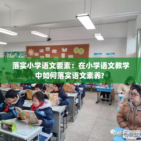 落实小学语文要素：在小学语文教学中如何落实语文素养? 