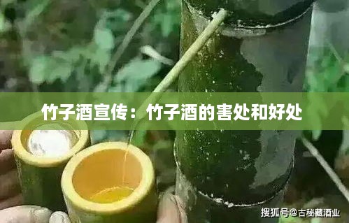 竹子酒宣传：竹子酒的害处和好处 